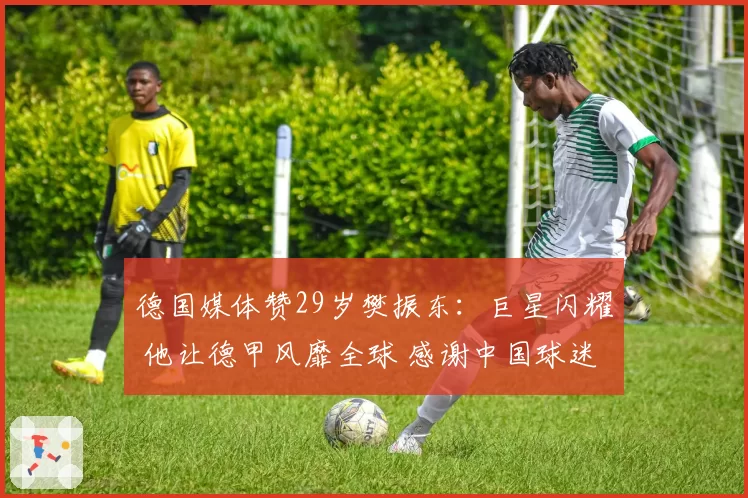 德国媒体赞29岁樊振东：巨星闪耀 他让德甲风靡全球 感谢中国球迷