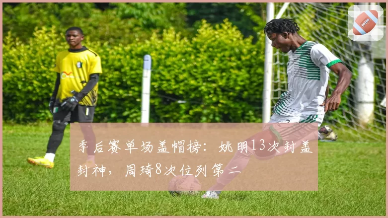 季后赛单场盖帽榜：姚明13次封盖封神，周琦8次位列第二